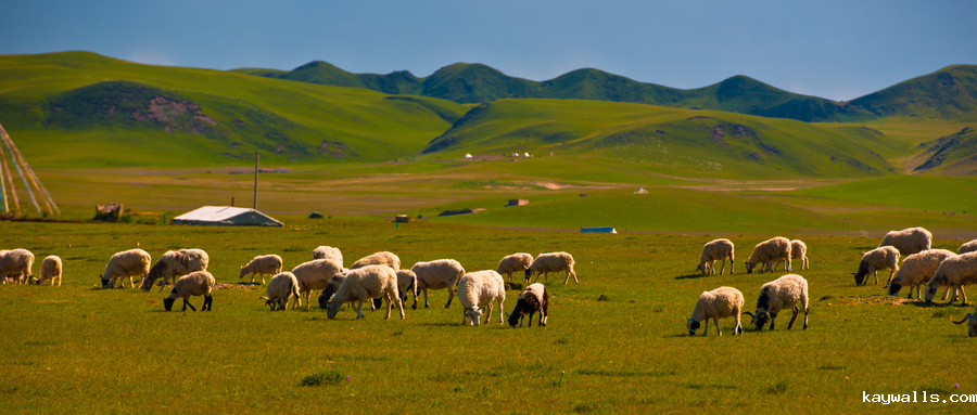 超高频RFID,智慧图书馆,智能书架,无人超市,工业RFID读写器