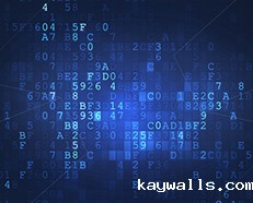 RFID数据采集不准还效率低？这四点值得关注